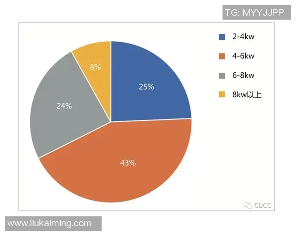 成都滑板队技术表现数据分析与提升策略探讨 成都滑板队技术表现数据分析与提升策略探讨