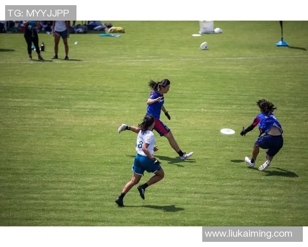 武汉飞盘队的崛起与奋斗精神探索飞盘运动的魅力与团队力量