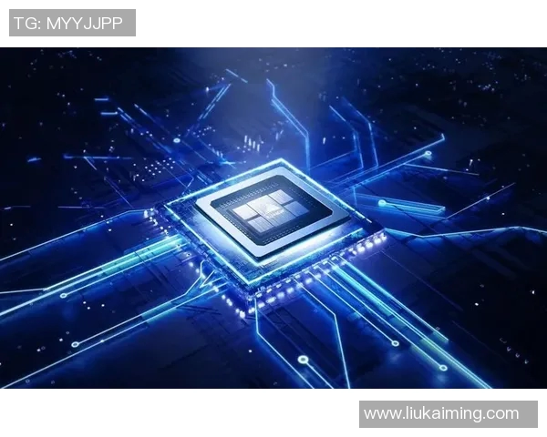 深圳飞盘队运营分析：成功经验与面临挑战的深度探讨